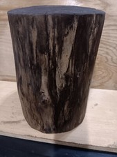 Tree Stump Stool, Rustic